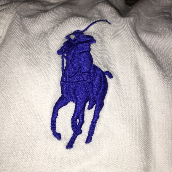 Meet your Posher, Greydon - Picture 1 of 1